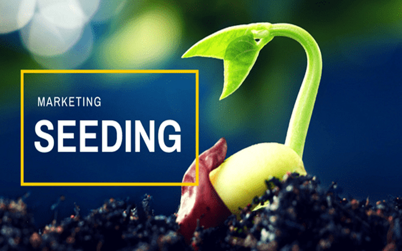 Seeding là gì và 7 bước để seeding một sản phẩm hiệu quả